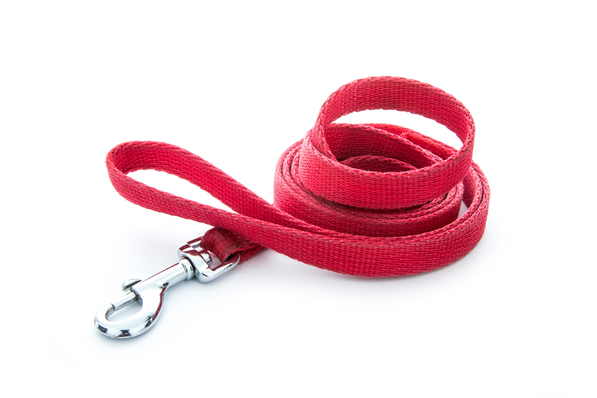 Red leash