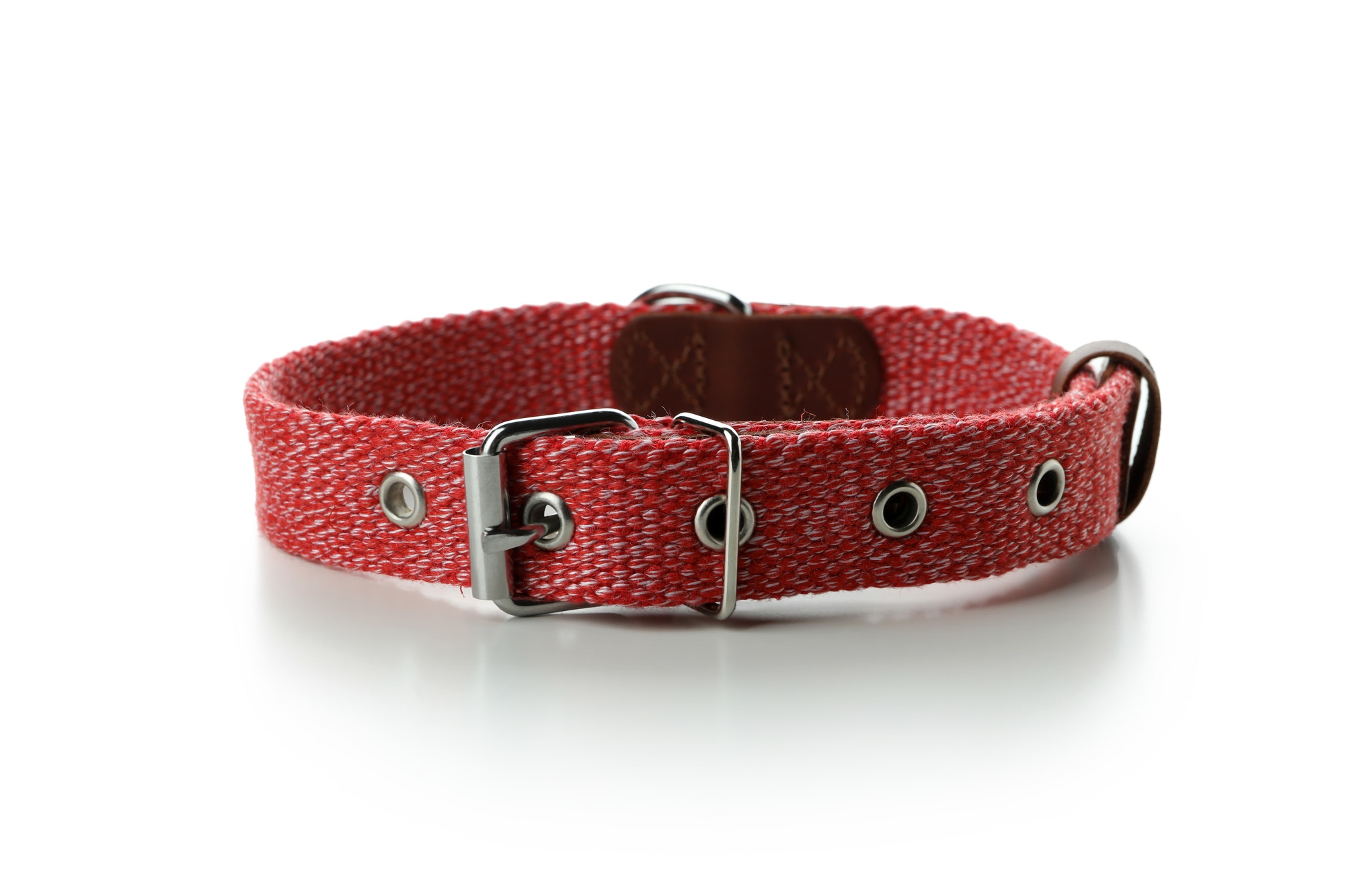 Red pet collar isolated on white background
